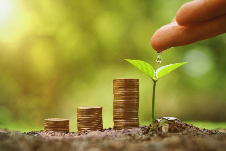 Measuring the ROI of CSR: Insights from Our Projects